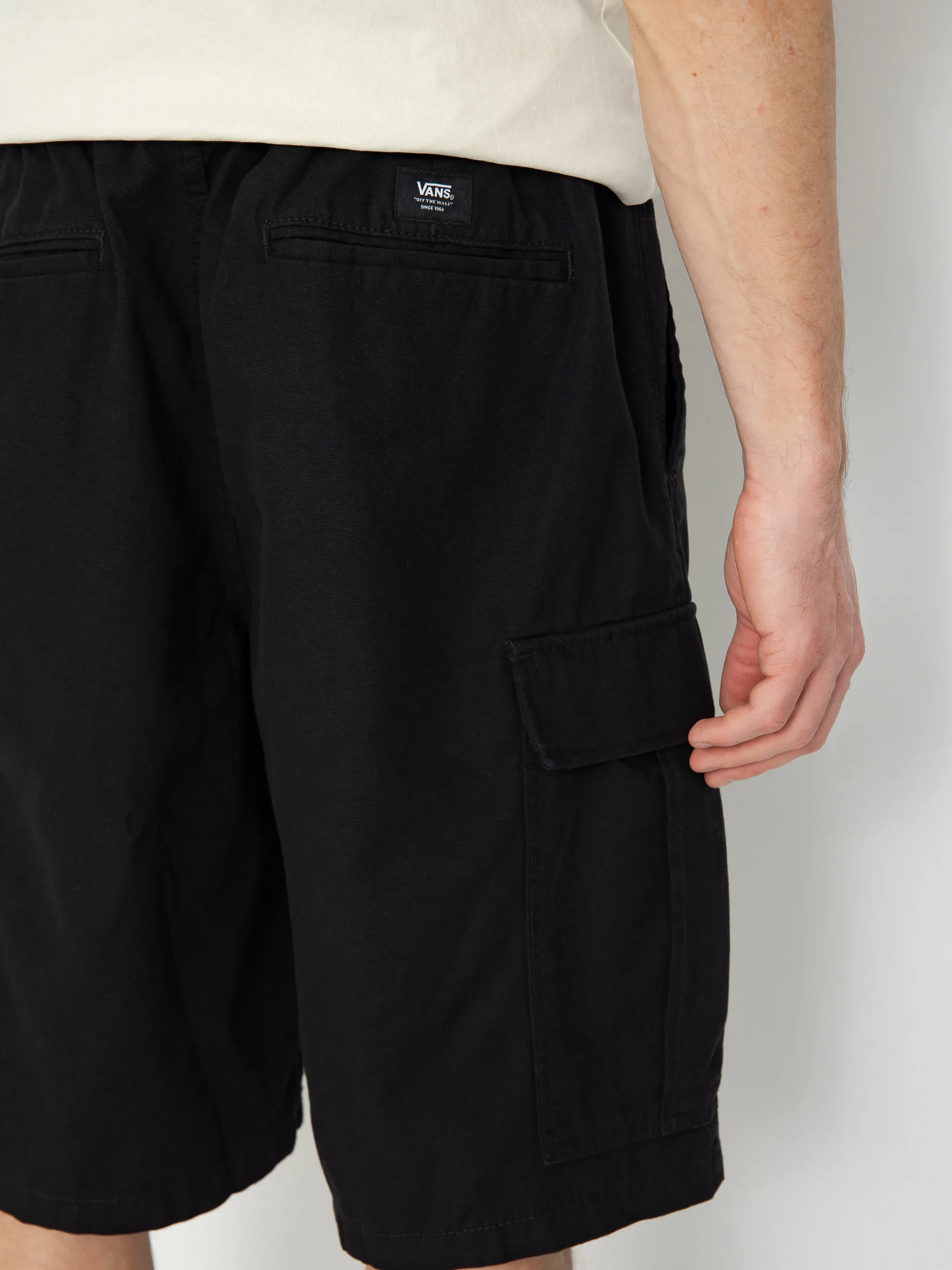 Vans Shorts Range Cargo Loose (black)